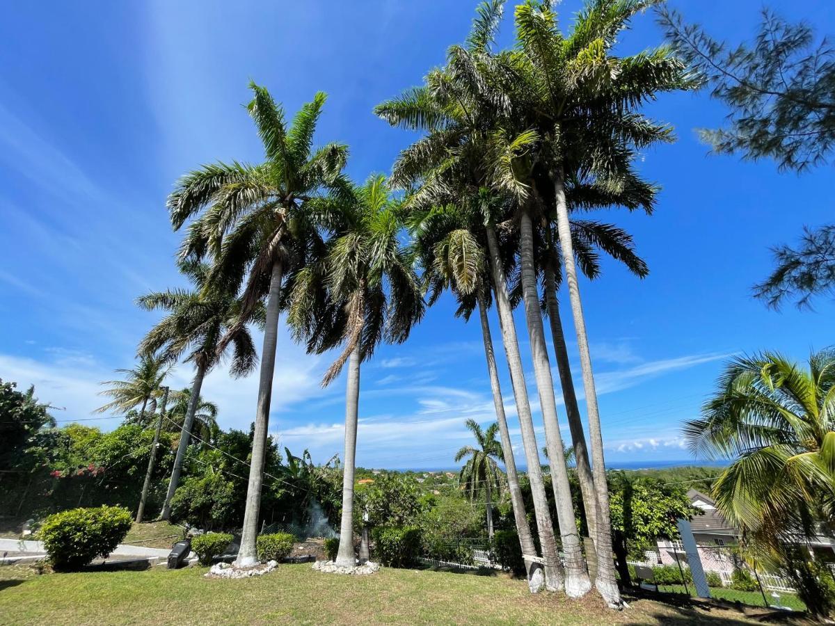 The Lodge @ Peaceful Palms 蒙特哥贝 外观 照片