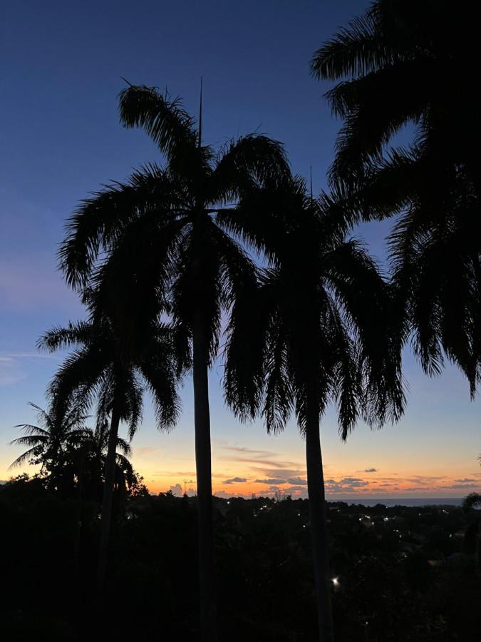 The Lodge @ Peaceful Palms 蒙特哥贝 外观 照片