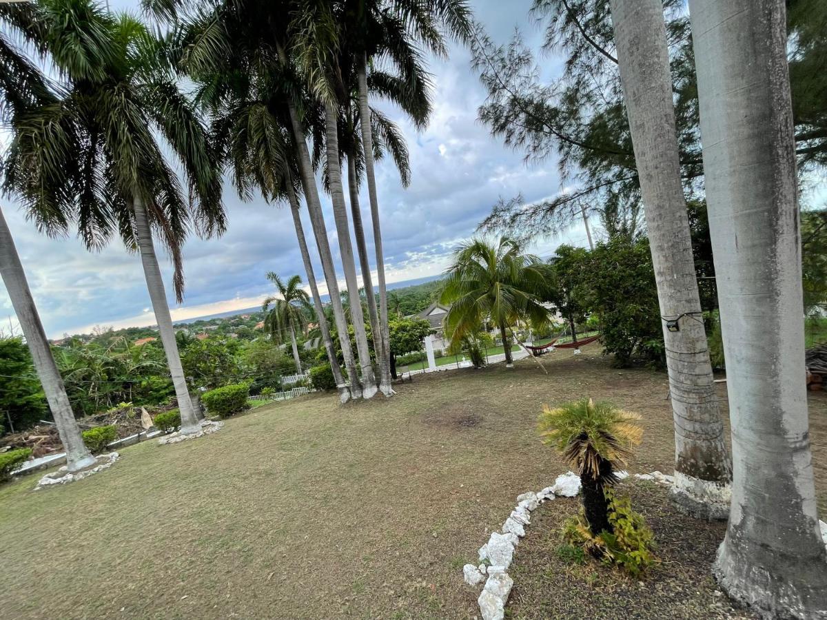 The Lodge @ Peaceful Palms 蒙特哥贝 外观 照片